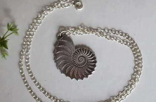 Nautiloide, collar eterno de nautilus en plata