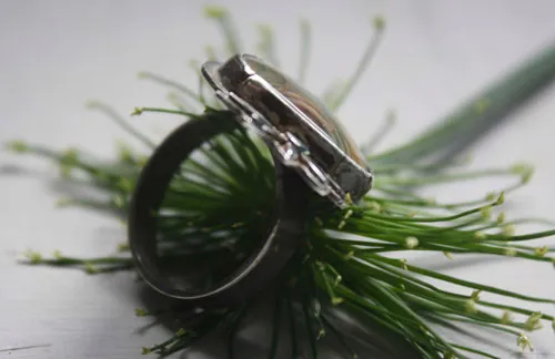 Nenúfar, anillo estanque, lirio de agua y loto en plata y jaspe imperial real