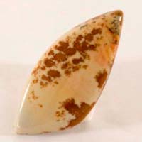 picture agate C cabochon