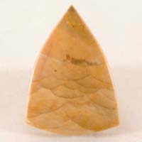 Willow Creek jasper A cabochon
