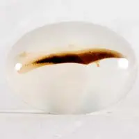 Ágata dendrítica H cabujón