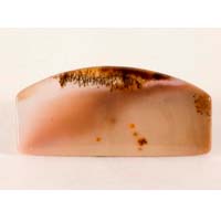 Ágata dendrítica rusa cabujón