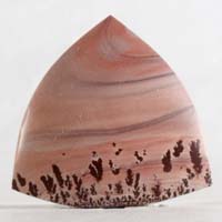 apache rhyolite C cabochon