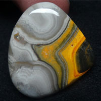 bumblebee E jasper cabochon