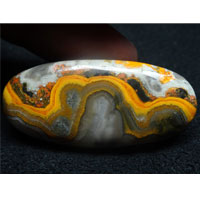 bumblebee jasper G cabochon