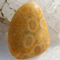 coral B cabochon