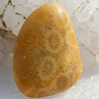 Coral B cabujón
