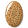 Nuestros cabujones de coral