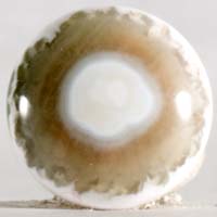 Jaspe oceánico K cabujón