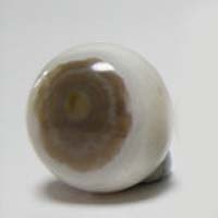 Jaspe oceánico L cabujón