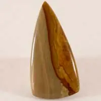 Jaspe Owyhee C cabujón