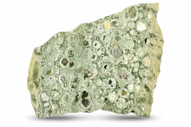 Nuestra galería de piedras de jaspe Selva Tropical para un pedido personalizado