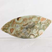 Jaspe selva tropical I