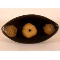 Madera fosilizada cabujón