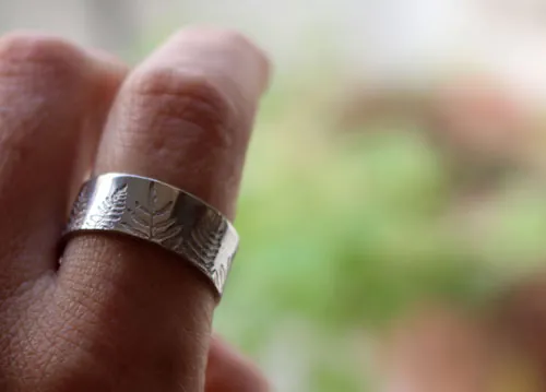 Raden, anillo helecho en plata