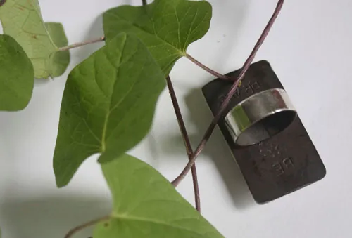Sé valiente, anillo de aliento en plata y jaspe Deschutes