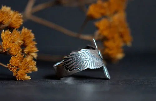 Sigue tu destino, anillo de cuervo y luna creciente en plata