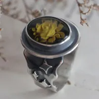 Una rosa bajo las estrellas