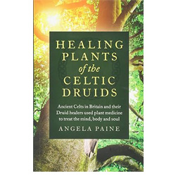 Healing plants of the Celtic druids: Ancient Celts in Britain and their druid healers used plant medicine to treat the mind, body and soul