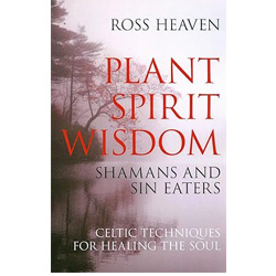 Plant spirit wisdom: Celtic healing and the power of nature