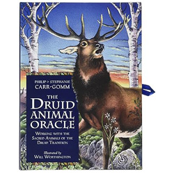 Druid animal oracle