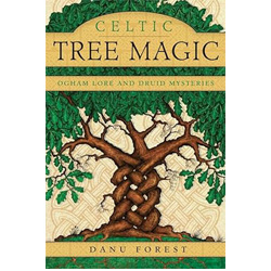 Celtic tree magic: Ogham lore and druid mysteries
